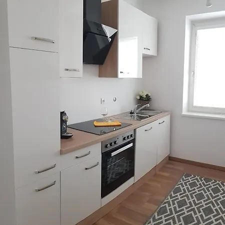 Fuer Business-wohnen-urlaub Apartment Wiener Neustadt